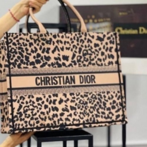 Best Price Christian Dior Tote Bag 
